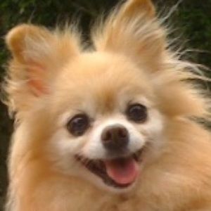 Meet your Posher, Lupe